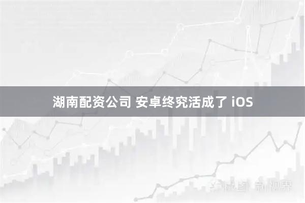 湖南配资公司 安卓终究活成了 iOS