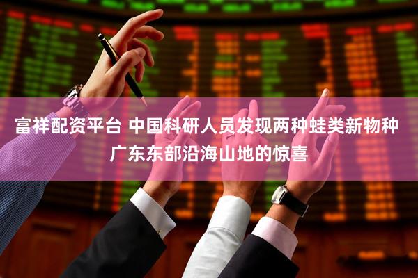 富祥配资平台 中国科研人员发现两种蛙类新物种 广东东部沿海山地的惊喜